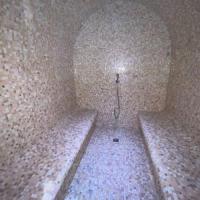 Img 1851 qgr6038wwbmvwfqq67gnjkjlrgj7x1w81uh1bxwt54